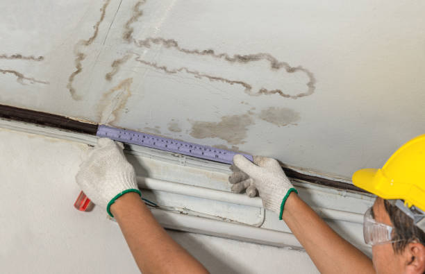 Reliable Mold Remediation contractor in Plainfield, MA by Water Damage Irwin